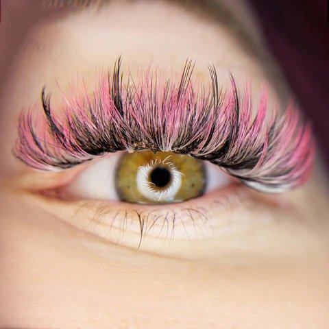 Volume Lashes